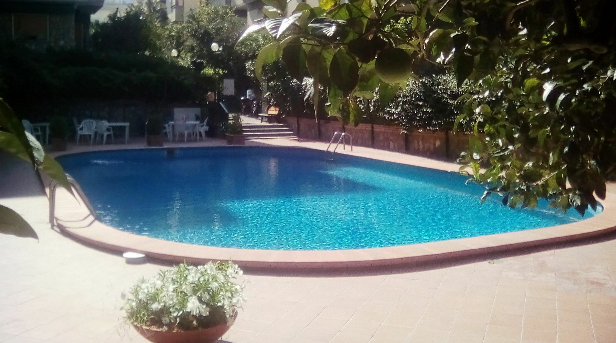 Al Parco II Rota B&B Sorrento Bagian luar foto